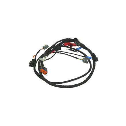 Rotax Evo Wiring Loom 2021 Version