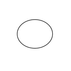 Rotax Cylinder Head O Ring 64 x 2 Inner