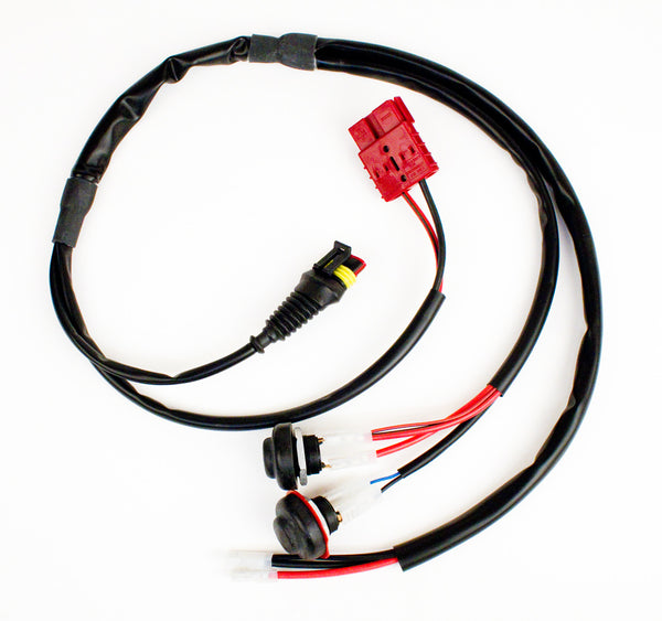 KA100/X30 Wiring Loom DigiS (22mm Stop) Kart Store AU